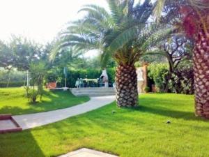 a palm tree in the middle of a yard at Villa fuer 6 Personen mit Schwimmbad in Mosciano SantʼAngelo
