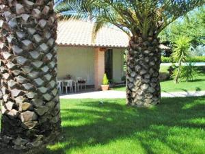 two palm trees in front of a house at Villa fuer 6 Personen mit Schwimmbad in Mosciano SantʼAngelo