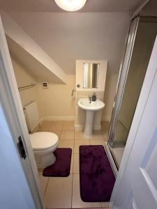 a small bathroom with a toilet and a sink at Elm Vale Lodge in Liverpool