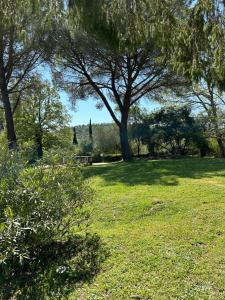 Aed väljaspool majutusasutust Campo Di Carlo