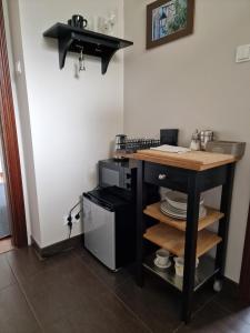 una pequeña cocina con encimera y fregadero en Apartament Magnolia, en Sopot