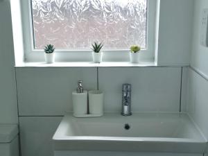 a bathroom sink with three plants on a window at Superb Studio in Wembley 30min to Central London in London