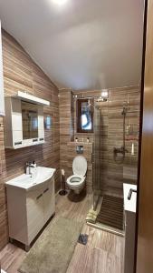 La salle de bains est pourvue de toilettes, d'un lavabo et d'une douche. dans l'établissement Apartman Pavle, à Nova Varoš