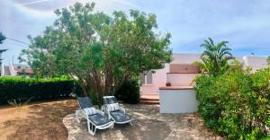 two lawn chairs and a tree in a yard at Almarea Blu - appartamento in villa vicino al mare - affitto breve in Polignano a Mare