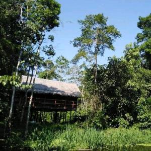 a barn in the middle of a field with trees at Bromelia Flower Lodge Iquitos in Iquitos