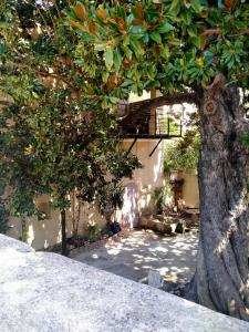 Zahrada ubytování chambres d'hôtes l'atrium