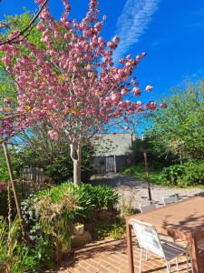 Fotografie z fotogalerie ubytování 600m bord de mer centre du val andre la maison des prés v destinaci Pléneuf-Val-André + 30 fotografií
