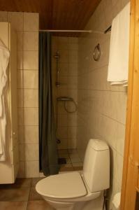 une salle de bain avec toilettes et douche dans l'établissement Aurora panorama, à Laksvatn 34 autres photos