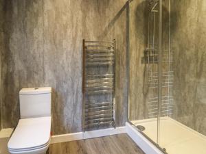 a bathroom with a toilet and a shower at The Oaks in Carmarthen +18 photos