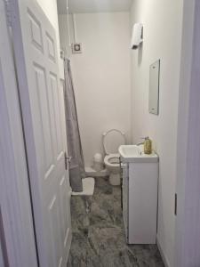 a white bathroom with a toilet and a sink at Inviting 1-Bed Apartment in Cork in Cork