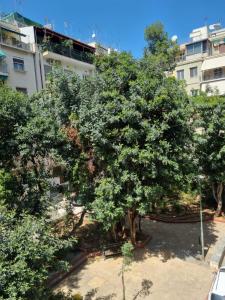 Park view apartment near Panormou في أثينا: شجرة كبيرة أمام مبنى