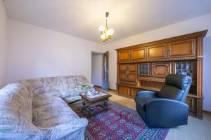 - un salon avec un canapé et une chaise dans l'établissement Casa Salogni - Happy Rentals, à Maggia