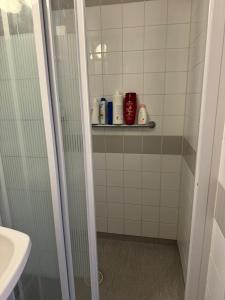 a bathroom with a shower with a sink and a shelf at 2 sovrum i en del av lägenheten in Stockholm