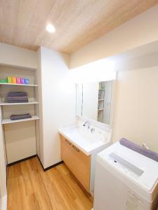 a bathroom with a sink and a mirror at Mezon Akihabara Guest House in Tokyo