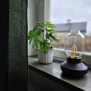a plant on a window sill with a lantern and a candle at Lilla Älvbrogården i stan in Avesta