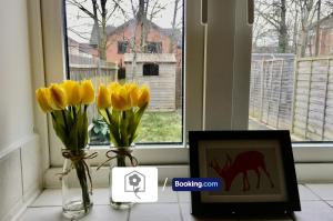 twee vazen met gele bloemen op een vensterbank bij Eastleigh House By Your Stay Solutions Short Lets & Serviced Accommodation Southampton With Free Wi-Fi & Close to Airport in Southampton