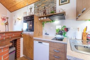 Kuhinja oz. manjša kuhinja v nastanitvi Vineyard Cottage Bahor - Happy Rentals
