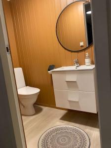 a bathroom with a sink and a toilet and a mirror at Aurora panorama 2nd floor in Laksvatn