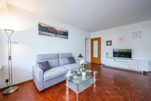 a living room with a couch and a tv at Lido Apartment in Locarno