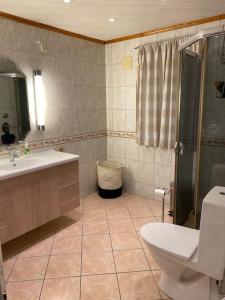 a bathroom with a toilet and a sink and a shower at Aurora panorama 2nd floor in Laksvatn +31 photos
