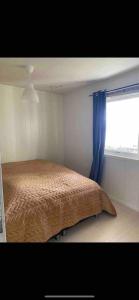 a bedroom with a bed with a blue curtain and a window at Aurora panorama 2nd floor in Laksvatn +31 photos