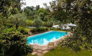 a swimming pool in a garden with an umbrella at Cozy House in Monte San Savino in Monte San Savino