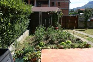 un jardin avec des plantes dans une cour dans l'établissement VILLASANA Naturaleza cerca de Bilbao, à Villasana de Mena