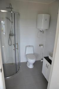 La salle de bains est pourvue de toilettes, d'une douche et d'un lavabo. dans l'établissement Gwiezdna łąka, 