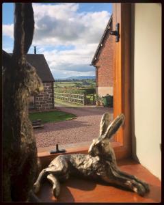 a statue of a rabbit laying on a window sill at Stone Cottage. Full of character barn conversion Pass the Keys in Highley