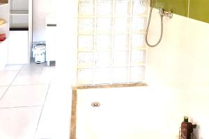 eine Dusche mit Glasblöcken an der Wand im Bad in der Unterkunft Propriete de 3 chambres avec vue sur la mer jardin amenage et wifi a Vieux Fort in Vieux-Fort