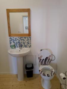 a bathroom with a toilet and a sink at Pyrenees Vue Gite - Vues Fantastique, Parking Gratuit Sur Place & Piscine in Saint-Gaudens