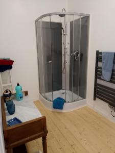a shower with a glass enclosure in a room at Pyrenees Vue Gite - Vues Fantastique, Parking Gratuit Sur Place & Piscine in Saint-Gaudens