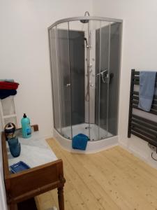 eine Dusche mit Glaskabine in einem Zimmer in der Unterkunft Pyrenees View - Vues Fantastique, Parking Gratuit Sur Place Et Près De La Ville 50m2 in Saint-Gaudens