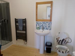 a bathroom with a sink and a mirror and a toilet at Pyrenees Vue Gite - Vues Fantastique, Parking Gratuit Sur Place & Piscine in Saint-Gaudens