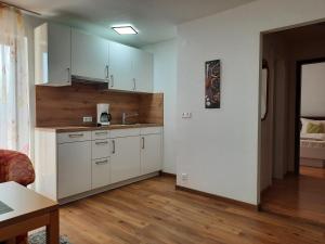 Kuchyň nebo kuchyňský kout v ubytování Gästehaus Höferlin