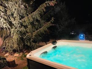 2 ours polaires nageant dans un bain à remous la nuit dans l'établissement Rönk Vendégház, à Tiszaroff