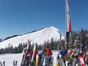 Gasthof Hotel Schermer pozimi