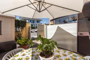 einen Tisch mit einer Pflanze und einem Regenschirm auf einer Terrasse in der Unterkunft Casa Pazza in Avola