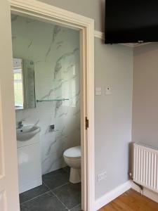 La salle de bains est pourvue de toilettes et d'un lavabo. dans l'établissement Woodville Lodge B&B, à Killarney