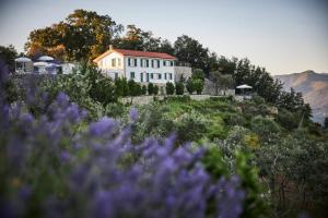 a house on top of a hill with purple flowers at Il Leccio - Luxury Resort Portofino Monte in Santa Margherita Ligure