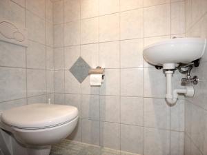 ein Bad mit einem WC und einem Waschbecken in der Unterkunft Apartment Gasteighof-2 by Interhome in Kapfing