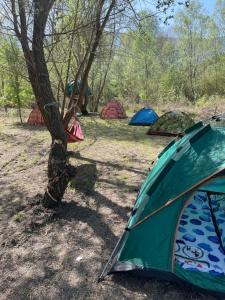 a group of tents parked next to a tree at Lake Campground Silvano in Berat