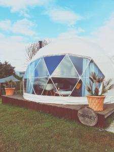 a dome tent in a field with two plants at Greenacres Glamping in Lea