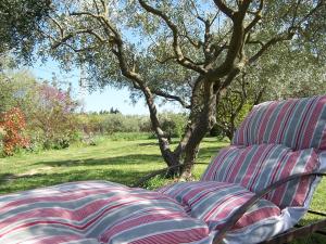 Ogród w obiekcie OUSTAOU DU GAYET gîte de charme avec piscine privée