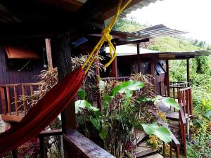a hammock in front of a house at Hibiscus Valley Inn in Marigot
