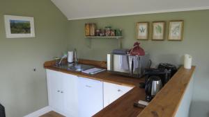 eine Küchentheke mit Mikrowelle und Spüle in der Unterkunft The Green Room in Midhurst