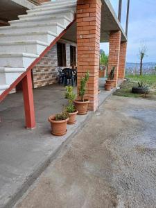 a patio with potted plants and a table and stairs at The view of gora in Kutaisi