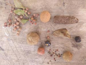 a table with a bunch of nuts andorns on it at Hostel Nugeku in Rincón