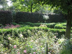 a garden with pink flowers and a tree at Droomboerderijtje in Merselo +4 photos