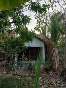 a small house with a thatched roof in a forest at Hostel Nugeku in Rincón